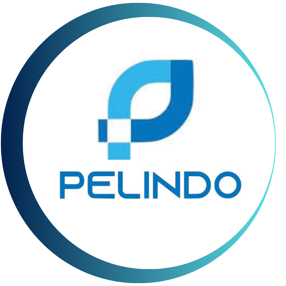 PELINDO